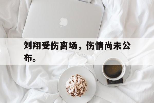 乐动官方网站-刘翔受伤离场，伤情尚未公布。