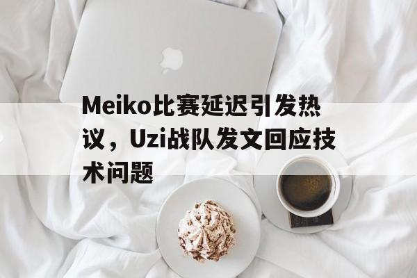 乐动网址-Meiko比赛延迟引发热议，Uzi战队发文回应技术问题